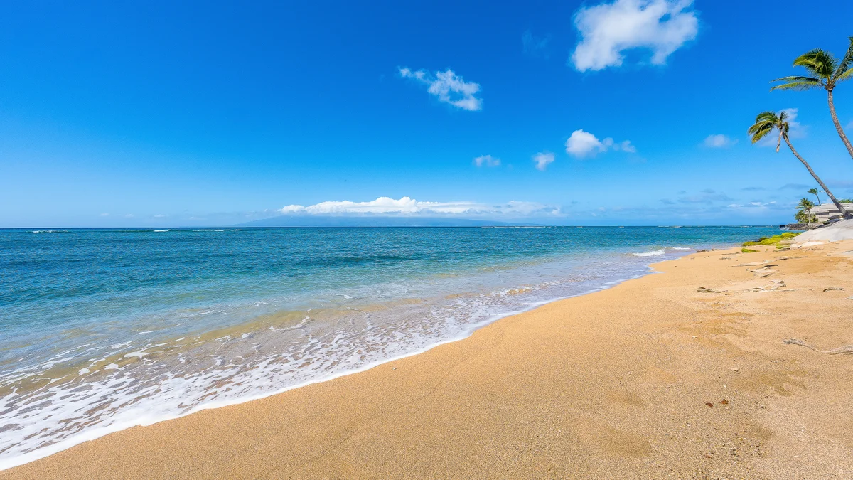 Royal Kahana 616