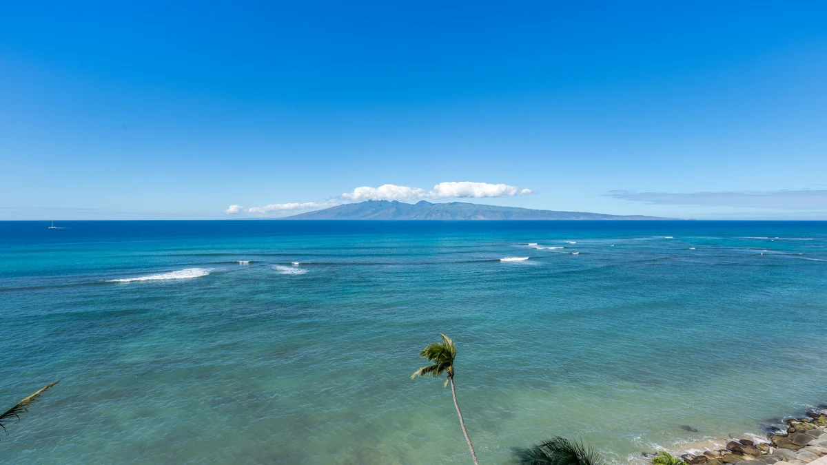 Royal Kahana 909