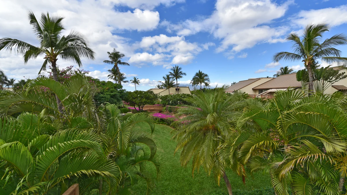 Maui Kamaole E202