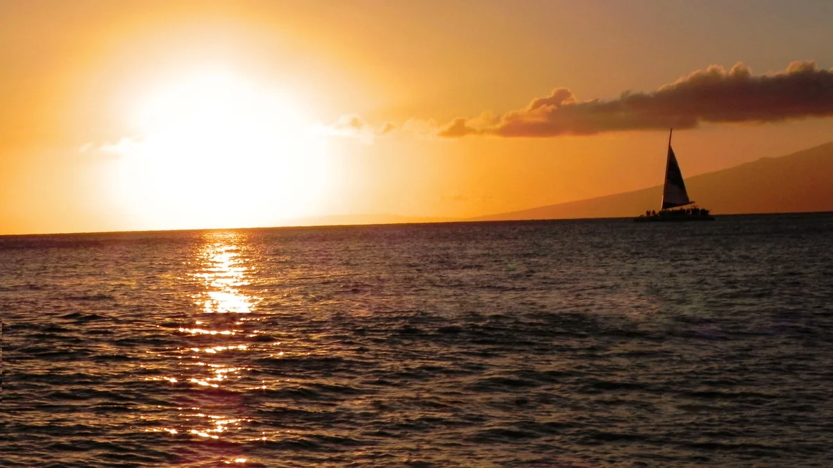 .Mahana 803