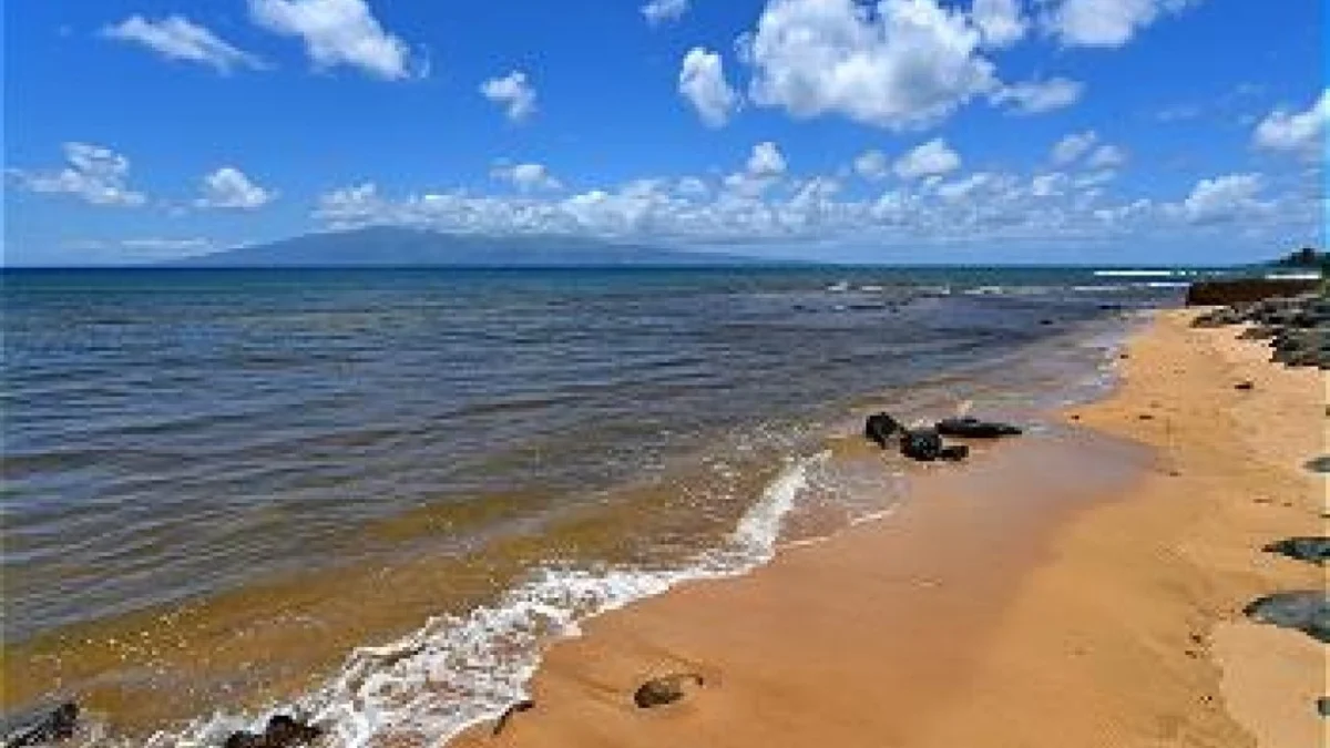 Kaanapali Shores 936