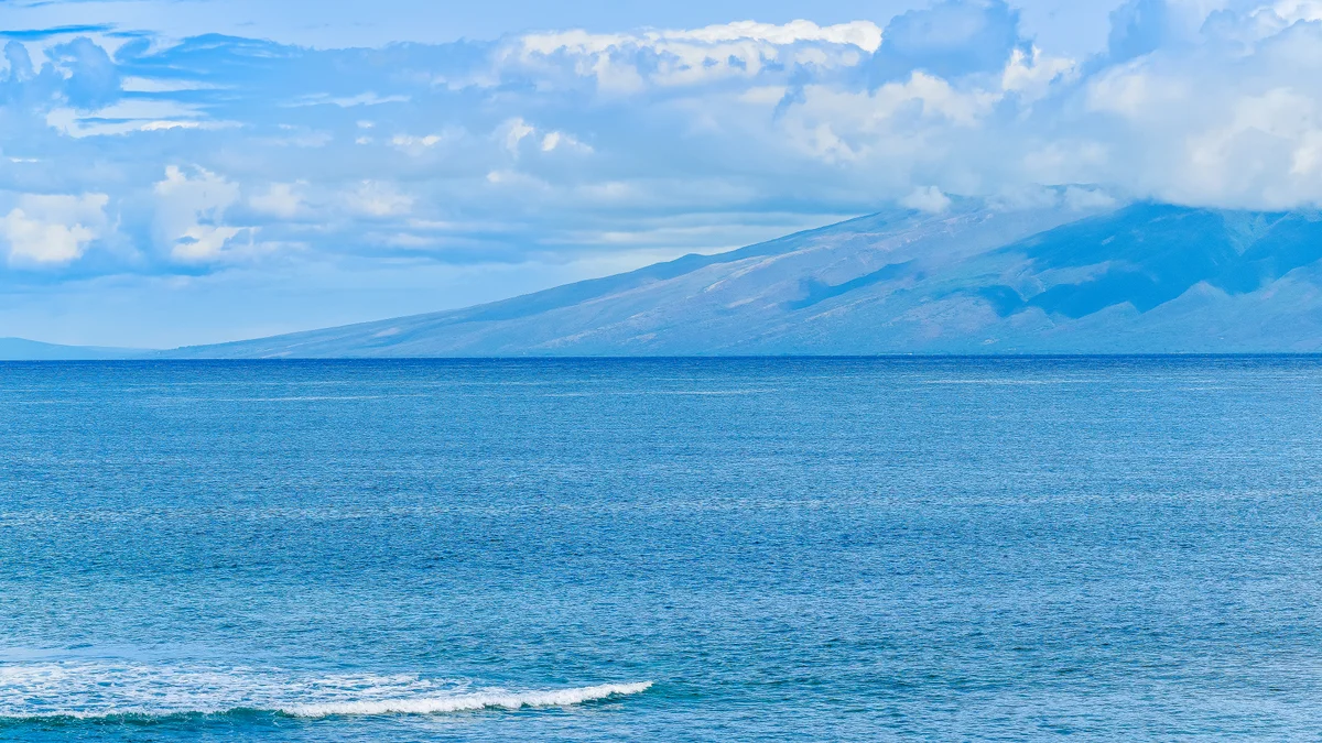 Maui Kai 304