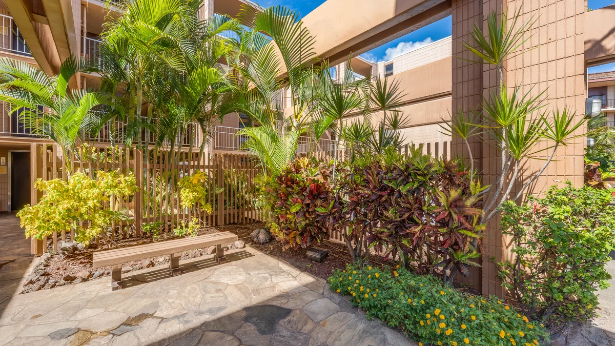 Kaleialoha 211
