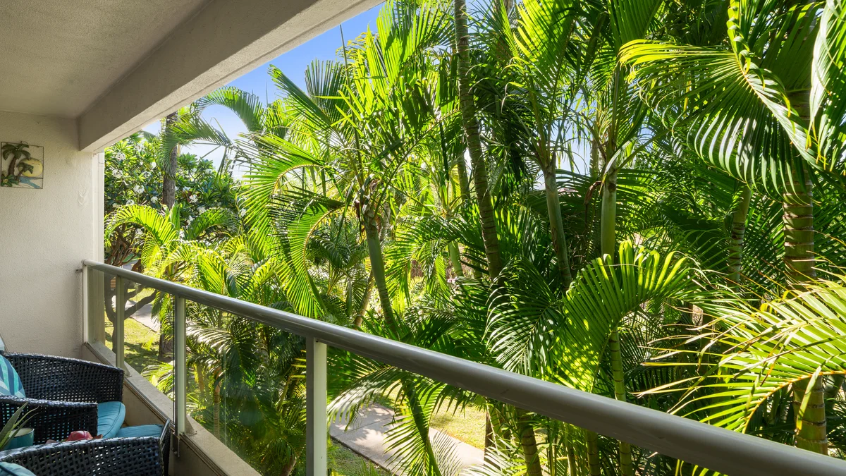 Maui Banyan H207