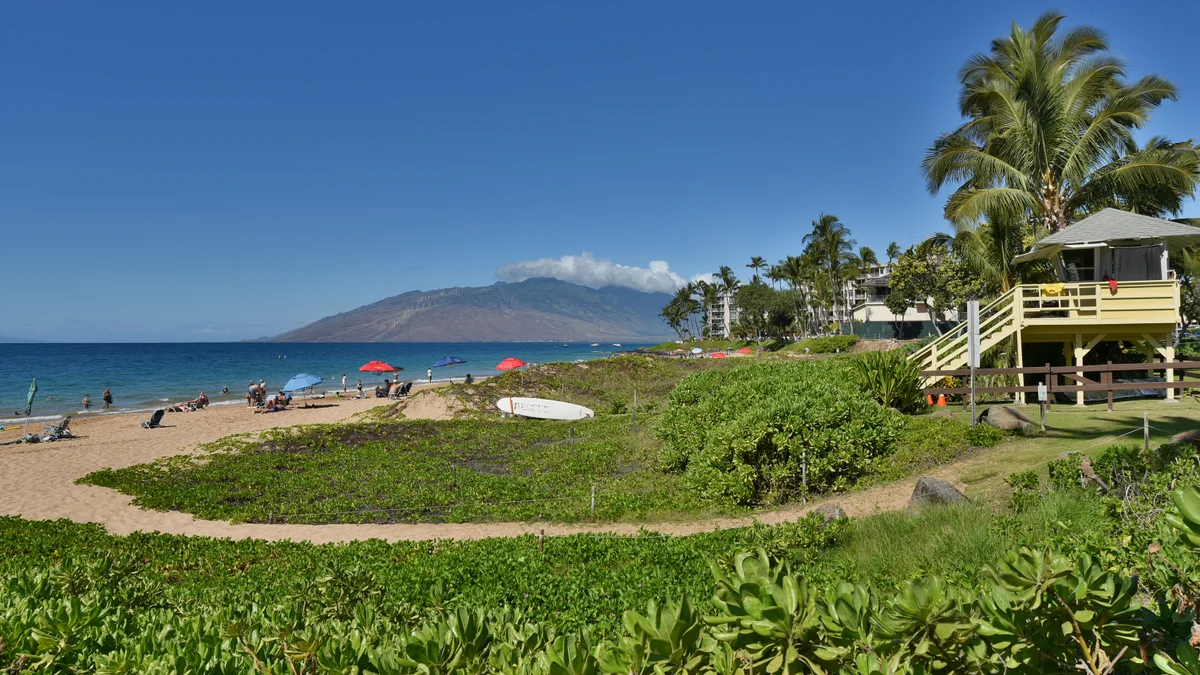 Kihei Akahi C303