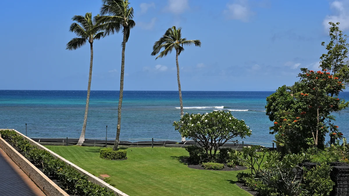 Royal Kahana 301