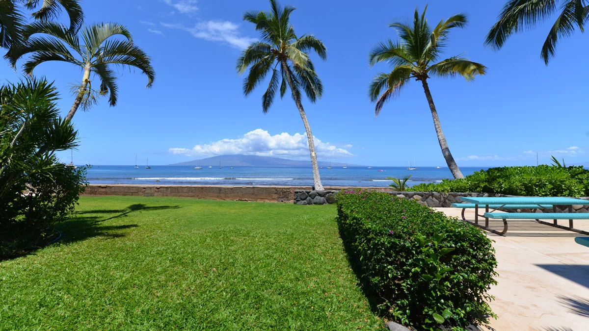 Lahaina Roads 209