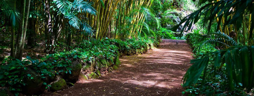 Family-friendly hikes on Maui