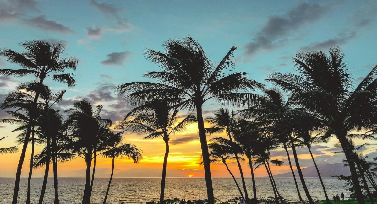Solo Travel to Maui: Your Complete Guide to Paradise, on Your Own Terms