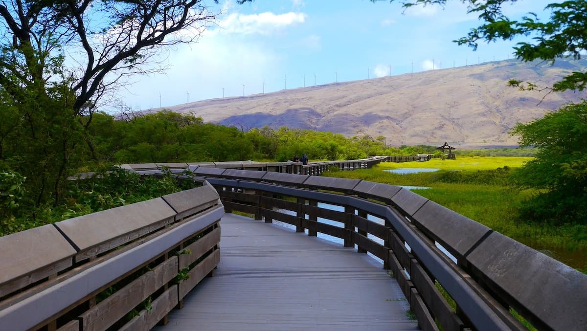 Kealia Pond National Wildlife Refuge in Maui, Hawaiʻi