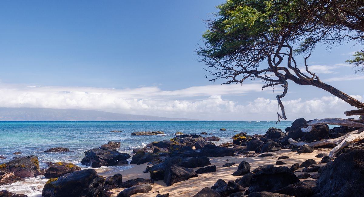 Beach day on Maui in February
