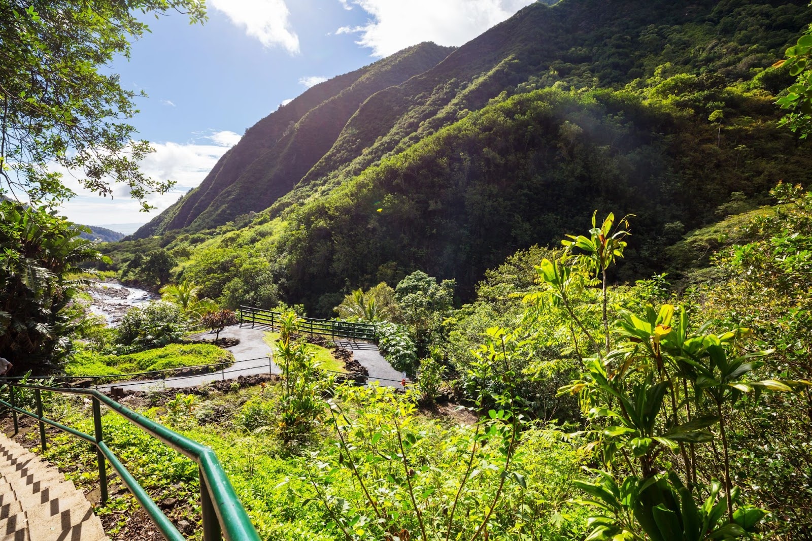 Lush green mountain valley with a walking path on Maui
