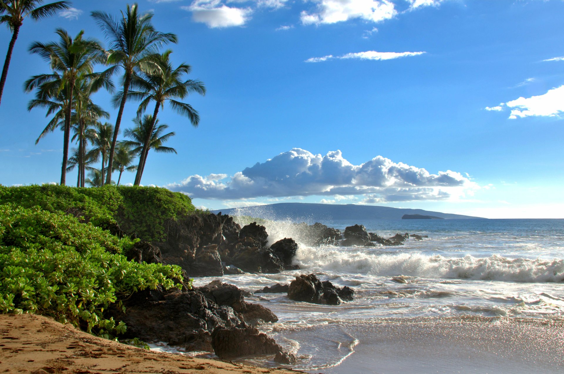Tropical beach with palm trees on Maui