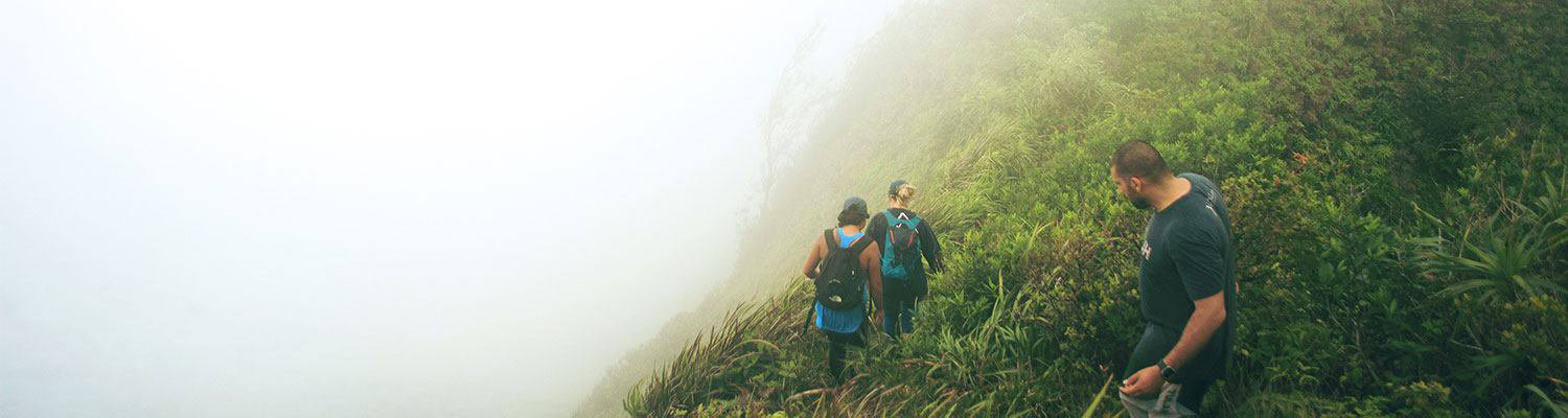 Hikers on a misty green ridge trail on Maui
