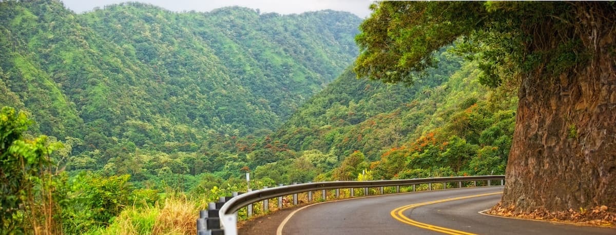 Road to Hāna scenery on Maui