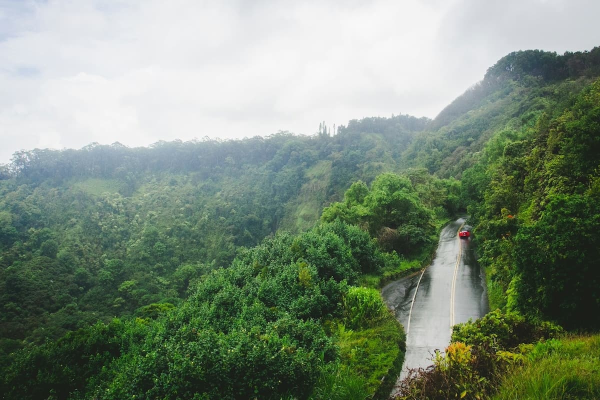 Car driving on the road to Hāna surrounded by lush green forests on a misty day