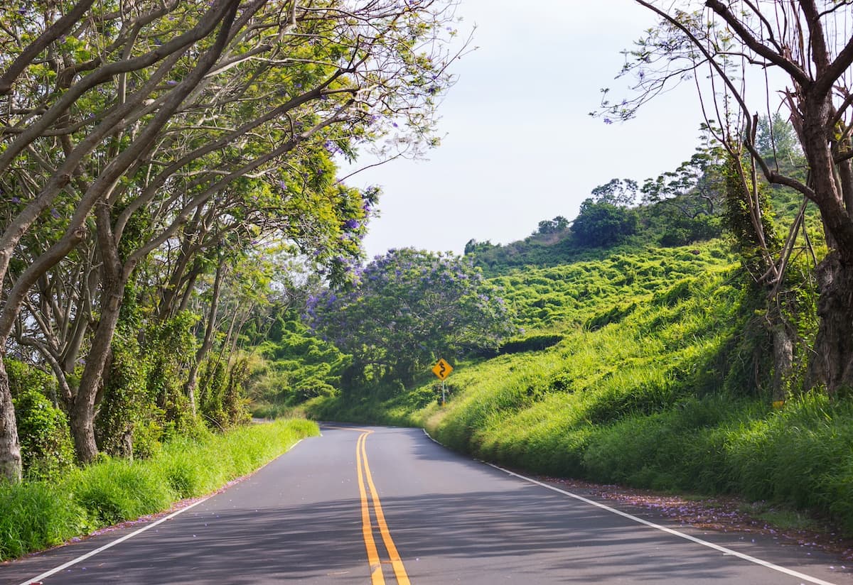 Road to Hāna on Maui
