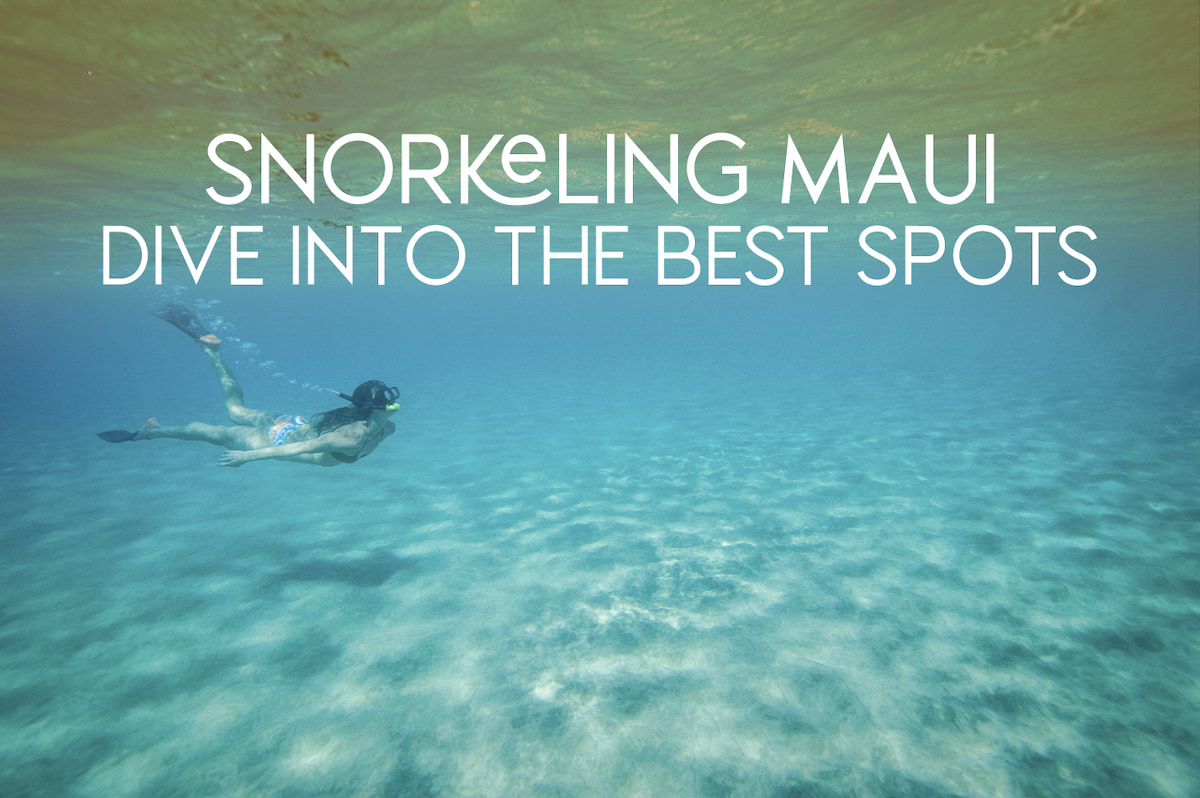 Snorkeling on Maui