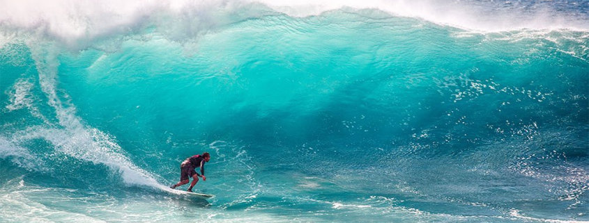 Surf competition on Maui